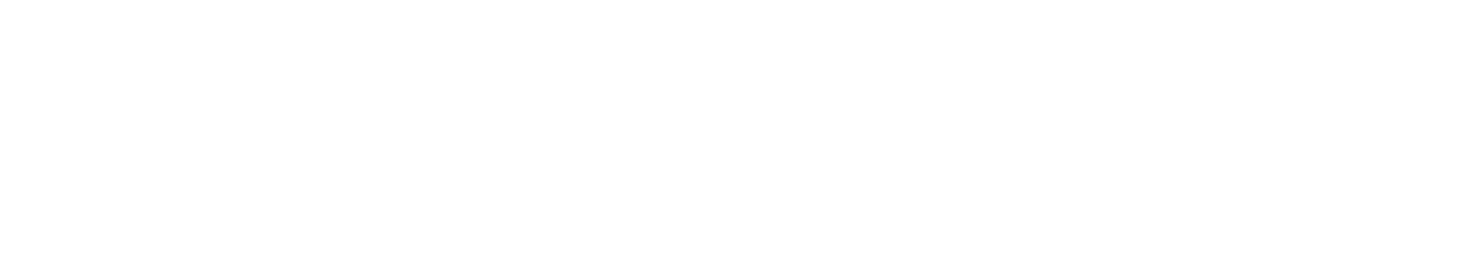 Brism couture